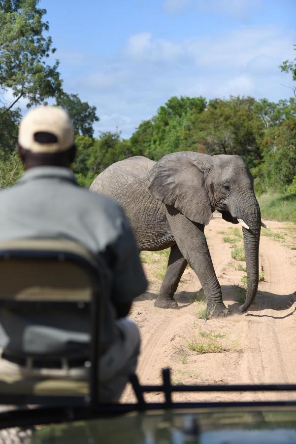 Shumbalala Game Lodge Торнибуш-Гейм-Резерв Экстерьер фото