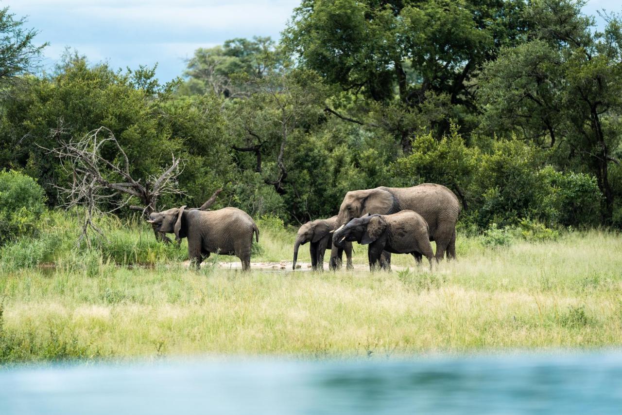 Shumbalala Game Lodge Торнибуш-Гейм-Резерв Экстерьер фото