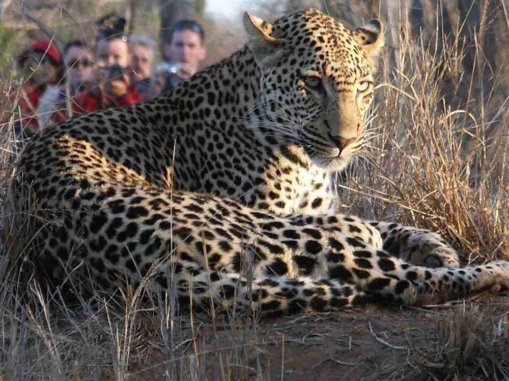 Shumbalala Game Lodge Торнибуш-Гейм-Резерв Экстерьер фото