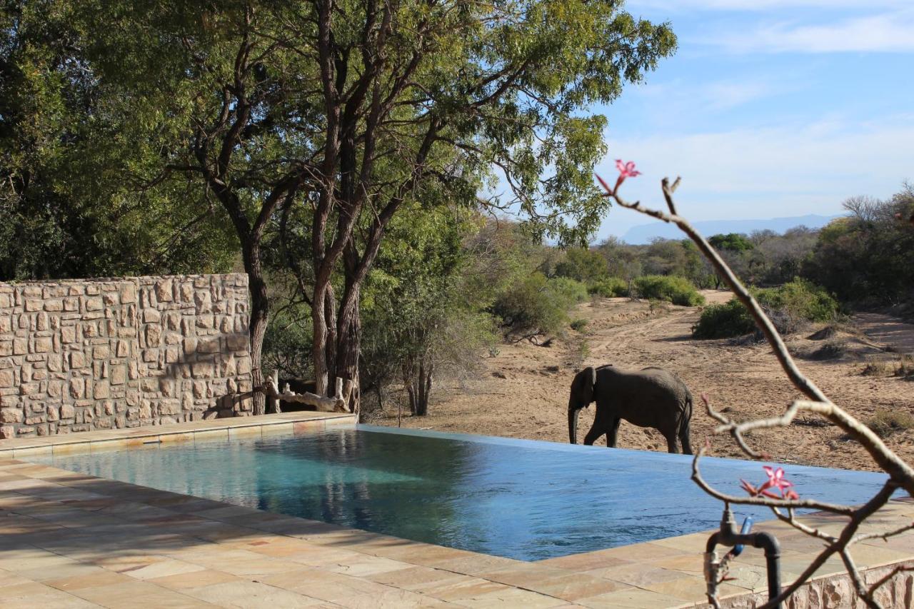 Shumbalala Game Lodge Торнибуш-Гейм-Резерв Экстерьер фото